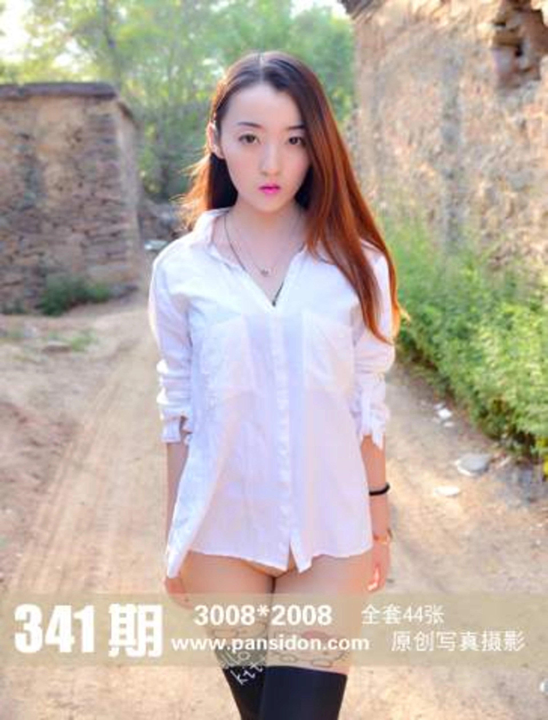 [PANS写真] 2014.11.30 NO.341 紫萱 1